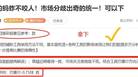 意甲新赛季转会窗口开启：世俱杯期间10日开启，夏季截止至9月1日