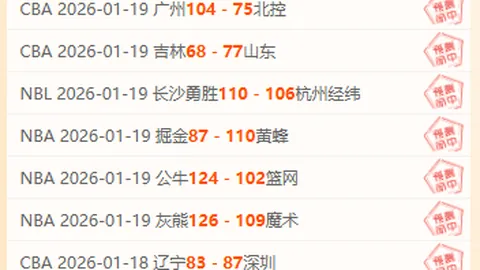 詹姆斯39分难挽败局，客场挑战灰熊失利